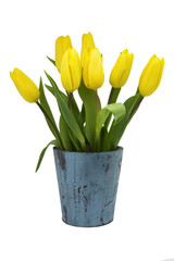 Gelbe Tulpen, Holz Vintage blau