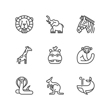Line icons. Wildlife. Flat symbols
