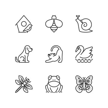 Line icons. Garden animals. Flat symbols