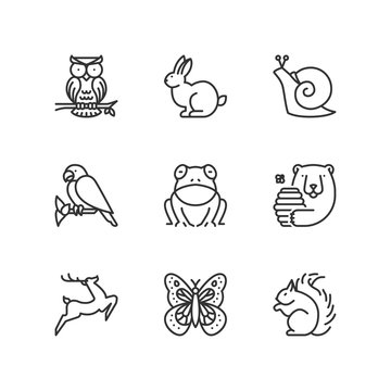 Line icons. Forest animals. Flat symbols