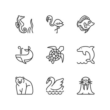Line icons. Animals and water. Flat symbols