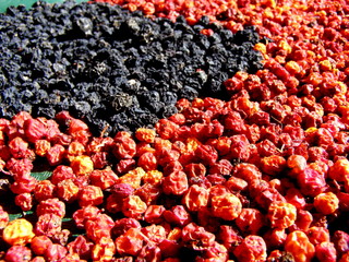 Suszona jarzębina i jagody © bnorbert3