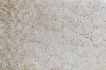 Dog fur abstract pattern