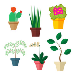 Set of indoor plants in pots for the decoration of the room. Vector, illustration isolated on white background EPS10.