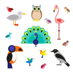 Set of cartoon birds in a flat style isolated on white background. Vector illustration, EPS10.