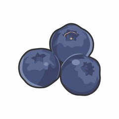 Blueberry Vector Icon