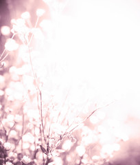 Background with summer flowers