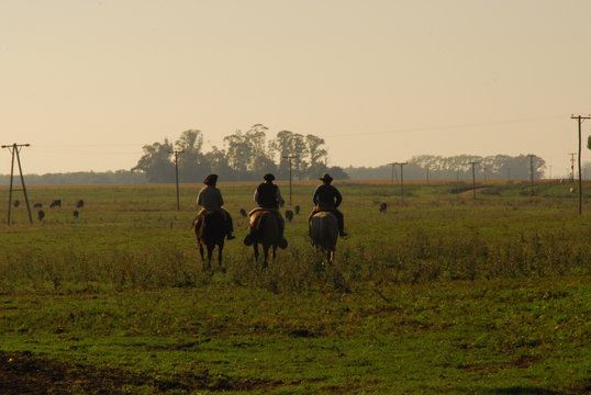 Caballos y Gauchos en Arreo 