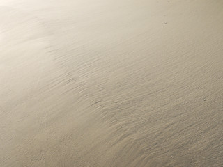 Sandy beach background. Detailed sand texture