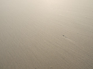 sand beach texture