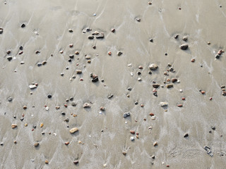 Sea stones and shell on sand beach texture under the surface