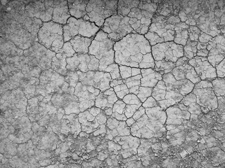 cracks in the ground
