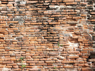 Old brick wall in a background image