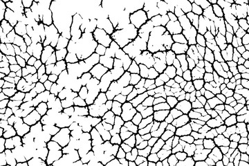 Wide cracks  grunge background    