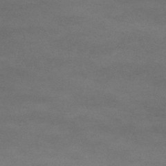 Fototapeta premium gray paper texture
