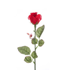 Red of artificial flower. Studio shot isolated on white