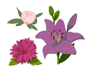 Vintage flowers vector illustration.