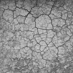 cracks in the ground