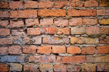 Texture background of old red brickwall