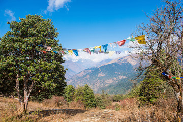 color prayer flags on the mountain in Nepal