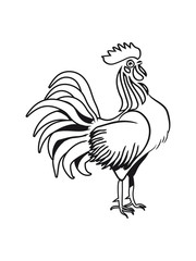 Cock design stylized