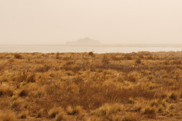 Paisajes de la pampa humeda, campos, argentina