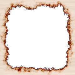 Charred  paper frame