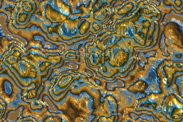 Wide repeating sea nacre  pattern