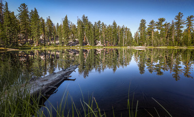 Fototapeta premium Bathing in morning sun