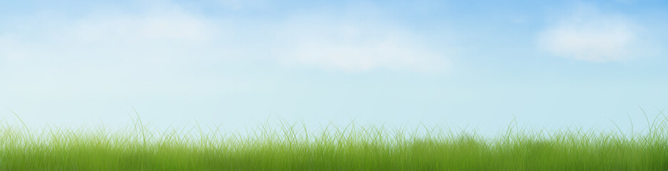 Fototapeta premium Open Grass Field Half Banner
