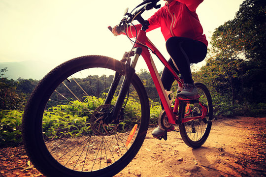 one young woman cyclist riding mountain bike on forest trail