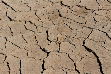 arid land.