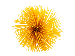 Top view spaghetti isolated