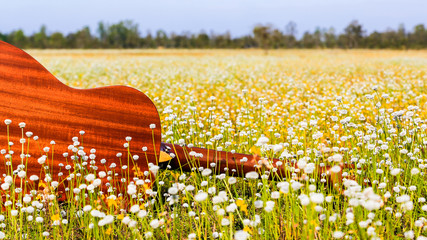 The guitar with meadow background