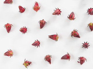 Roselle flower background or pattern