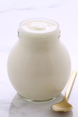 Vintage retro styling yogurt