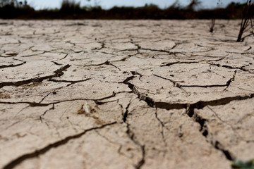 barren land