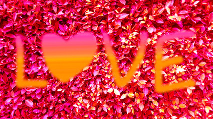 love text art draw and red leaves