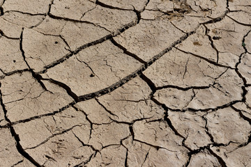 arid land.