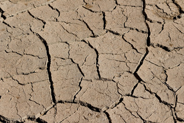 arid land.