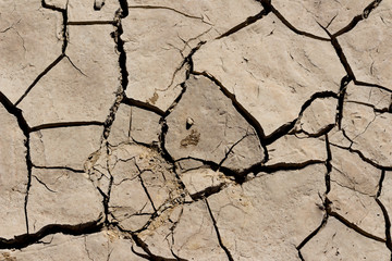 arid land.