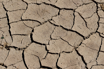 arid land.