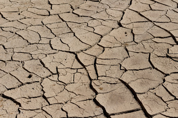 arid land.