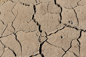 arid land.