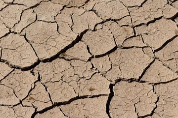 arid land.