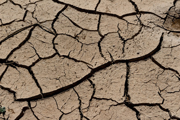 arid land.