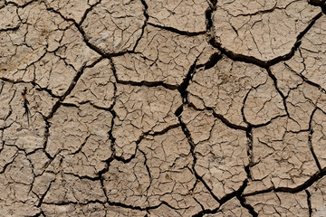 arid land.
