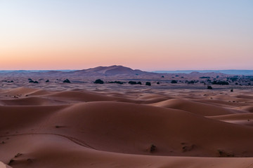 Sahara Desert, Morocco
