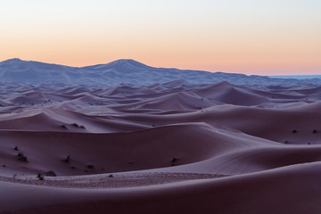 Fototapeta na wymiar Sahara Desert, Morocco 