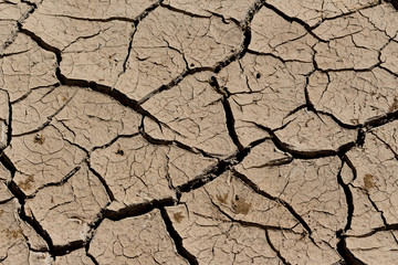 arid land.